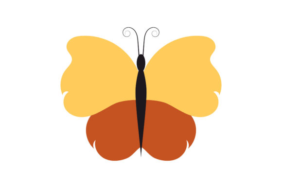 Download Butterfly Tropical Pretty Design - Premium Resources